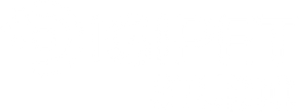 Digipet Studio
